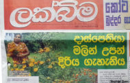 දාස්පෙතියා මලින් උපන් දිරිය ගැහැනිය