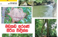 මඩකඩ අරණේ සිරිය විඳින්න