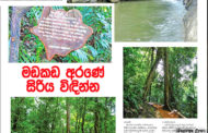 මඩකඩ අරණේ සිරිය විඳින්න