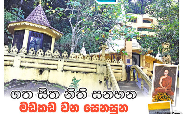 ගත සිත නිති සනහන මඩකඩ වන සෙනසුන